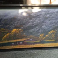 تابلوی نقاشی شده،لامپ دار