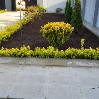 کاشت چمن وگل|خدمات باغبانی و درختکاری|ارومیه, |دیوار