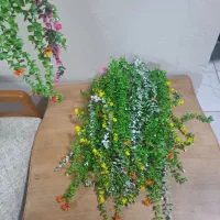 گل مصنوعی|گل مصنوعی|مشکیندشت, |دیوار