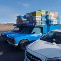 کندو خالی زنبور عسل