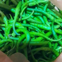 فلفل محلی تازه