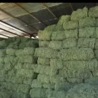 یونجه بسته بندی درجه یک چین سوم و چهارم