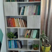 کتابخانه|کتابخانه، شلف، قفسه‌های دیواری|شیراز, زیباشهر|دیوار