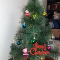 درخت کریسمس