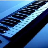 نوازنده حرفهای ارگ مجالس در اردبیل