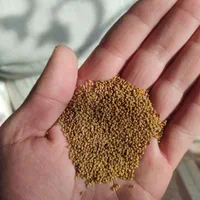 بذر یونجه سبز اندیشان|خدمات باغبانی و درختکاری|ایلام, |دیوار