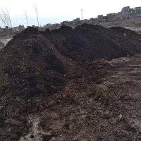 کود حیوانی|خدمات باغبانی و درختکاری|اردبیل, |دیوار