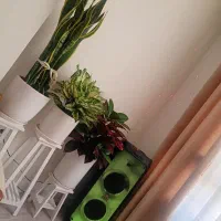 اجاره آپارتمان مبله پاره وقت|اجارهٔ کوتاهمدت آپارتمان و سوئیت|کرج, شهرک بنفشه|دیوار