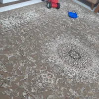 قالی ۱۲متری رنگ گردویی