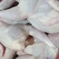 فروش گوشت و تخم بلدرچین تازه لنگرود