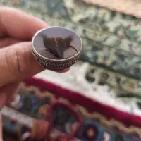 انگشتر شجر