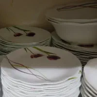 آرکوپال شش نفره