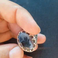 انگشتر شجر|جواهرات|تربت جام, شاد|دیوار