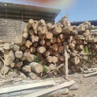 چوب اسلپی گردو و چنار|مصالح و تجهیزات ساختمان|مشهد, کشاورز|دیوار