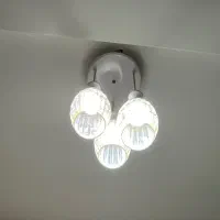 لوستر