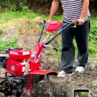 خدمات باغبانی|خدمات باغبانی و درختکاری|قم, پاسدار|دیوار