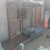 قفس سگ..|لوازم جانبی حیوانات|بابل, |دیوار