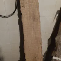 شلف چوب خام