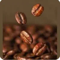 میکس قهوه 5دان