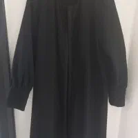 پالتو