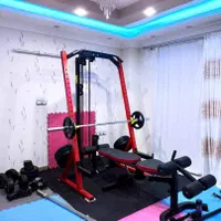 هالتر بارفیکس/ دستگاه بدنسازی-هیرو اسپرت/