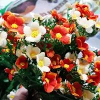 گل مصنوعی|گل مصنوعی|نورآباد, |دیوار