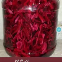 ترشیجات آشپزخانه یاسمن|خوردنی و آشامیدنی|رودسر, |دیوار