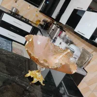 سرویس پذیرایی|ظروف سرو و پذیرایی|ایرانشهر, |دیوار