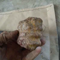 سنگ طلا|جواهرات|شهریار, دهشاد پائین|دیوار