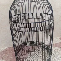 قفس پرنده