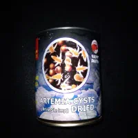 سیست آرتمیای چینی