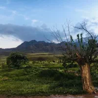 مزرعه-در-پلنگ-دره-100-هکتار-زمین-کشاورزی-ودام