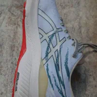 کتانی اسیکس