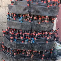 شلنگ آبیاری|خدمات باغبانی و درختکاری|نقده, |دیوار