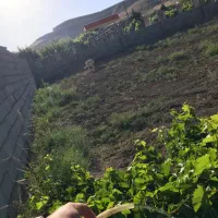 قطعه ویلایی ۱۰۰۰متر/دو کله/سند/ورودی شهربازی چیچست|فروش زمین و ملک کلنگی|ارومیه, |دیوار