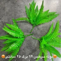 بوته تزئینی سرخس گرینوال|گل مصنوعی|تهران, نصرت|دیوار