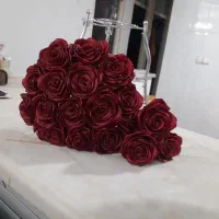 گل ربانی|گل و گیاه طبیعی|ساوه, |دیوار