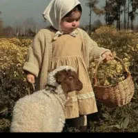 گوسفند افشار و بیجار