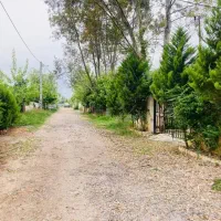 فروش خانه ویلایی نما سنگ 190زمین 130بنامدارک دار|فروش خانه و ویلا|تهران, صادقیه|دیوار