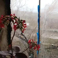 اقامتگاه غار باستانی کرفتو|اجارهٔ کوتاه‌مدت آپارتمان و سوئیت|سقز, |دیوار
