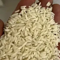 برنج مامان میانه مستقیم از کارخانه