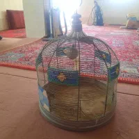 قفس طرقه|لوازم جانبی حیوانات|شیراز, پودنک|دیوار
