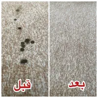 لکه های خونه ات رو اصولی پاک کن