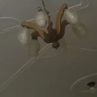 لوستر|لوستر و چراغ آویز|دورود, |دیوار