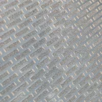 منشی و پروموت