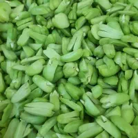باقالی سبز ضمانتی فروش کلی