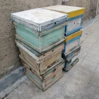 کندوی زنبور عسل