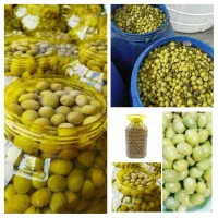 پخش زیتون بدون واسطه