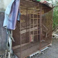 قفس آهنی|لوازم جانبی حیوانات|املش, |دیوار