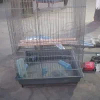 قفس پرنده
